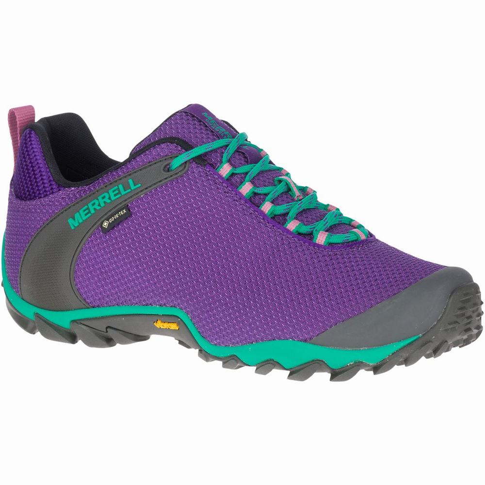 Merrell Zapato Deportivo para Hombre CHAMELEON 5 STORM GORE-TEX®,  Naranja/Azul, 25.5, modelo J39935 : : Ropa, Zapatos y  Accesorios