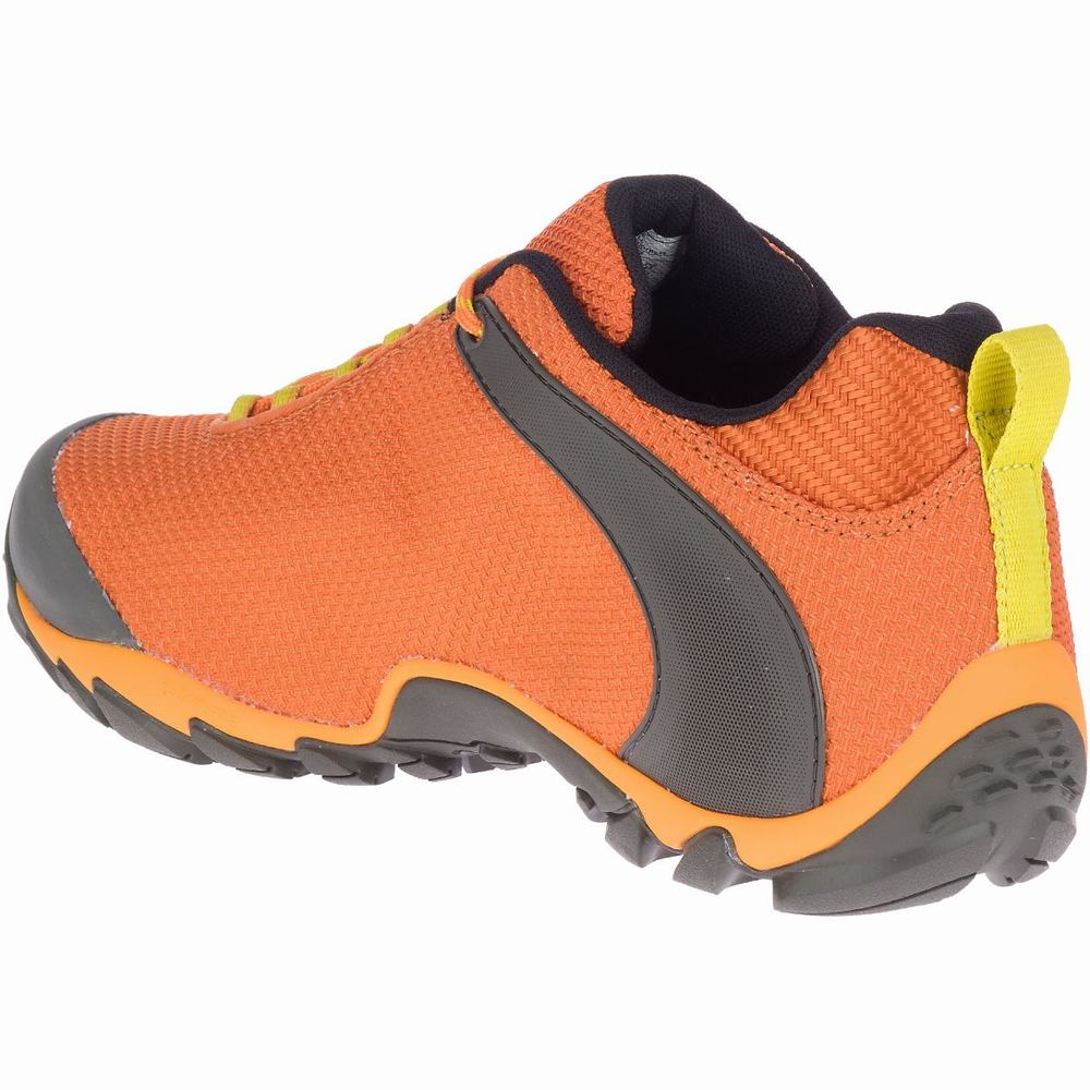 Comprar Zapatillas Merrell - Merrell Chameleon 8 Storm GORE-TEX® Zapatillas  de Senderismo Para Hombre Naranjas